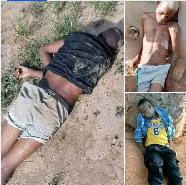 VIOLÊNCIA POLICIAL NO PARAÍSO: CORPO DE CRIMINOSOS OS COMPARSAS DO SIC CACUACO ENCONTRADOS NA VIA PÚBLICA