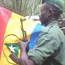 UNITA DE MÃOSDADAS COMA FLEC