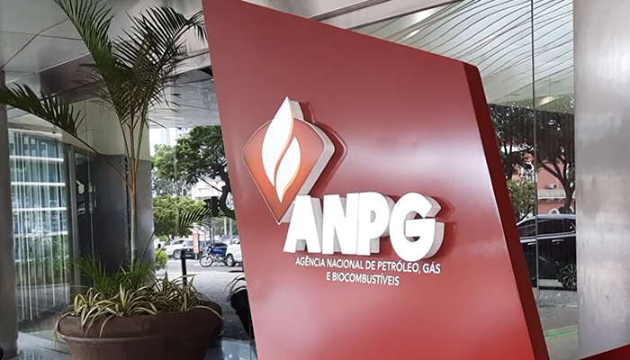 ANPG  resultados baixaram em relação aos resultados operacionais do ano passado  vê lucros afundarem 65%
