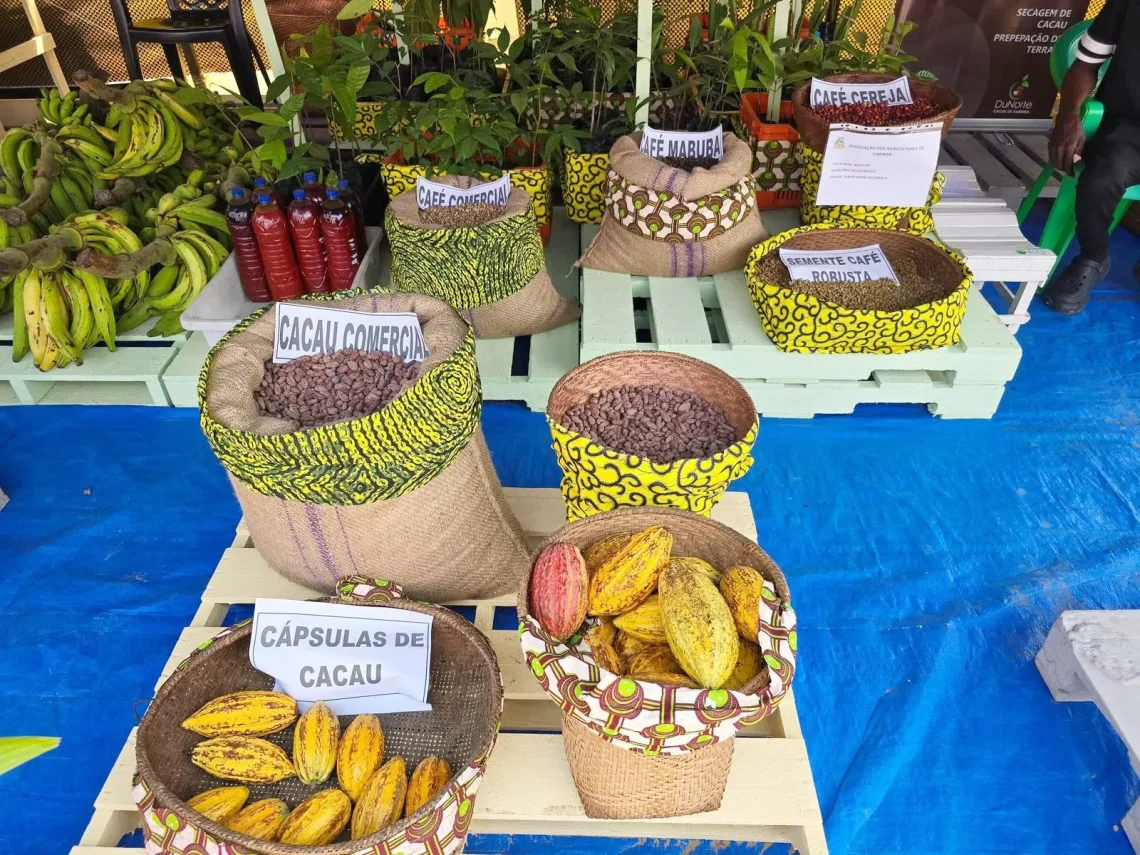 Expo-Cabinda 2025 arrecada mais de um bilião e 700 milhões de kwanzas com a promoção de vários negócios