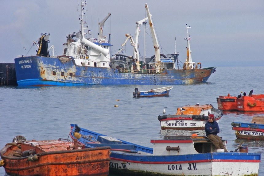 Preço do peixe vai continuar a subir em Angola