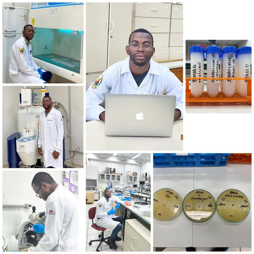 Emigrante angolano no Brasil desenvolveu nanopartícula lipídica para tratamento de infeções cutâneas resistentes, investigação financiada pelo governo brasileiro, governo angolano não valoriza nem investe nos seus próprios talentos, como consequência acabam por emigrar para outros países