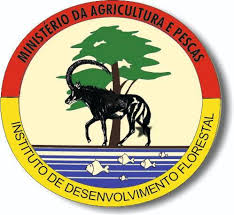 Denúncia: Admitidos no IDF aguardam há quase dois anos pela inserção após concurso público de 2023