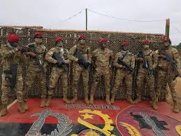 VÍRUS DO MEDO NOS QUARTÉIS ANGOLANOS: FAA SOB ATAQUE CIVIL